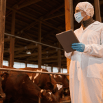 Agenor Vicente Pelissa