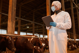 Agenor Vicente Pelissa