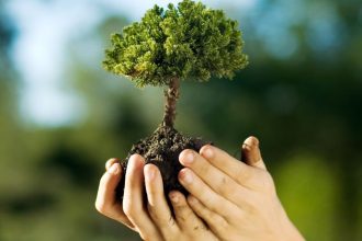 Carlos Eduardo Moraes Nunes