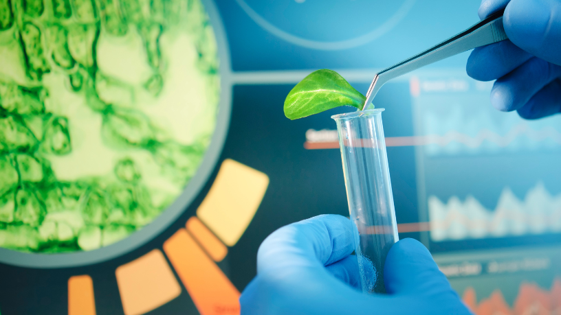 A biotecnologia no campo é aliada da produtividade e da sustentabilidade, ressalta Aldo Vendramin.