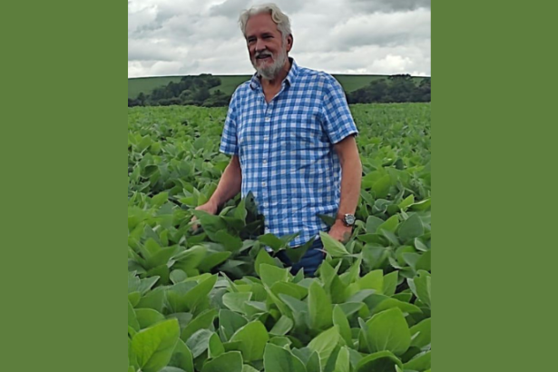 Aldo Vendramin explica como as técnicas de reprodução assistida elevam a genética e a performance dos rebanhos.