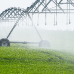 Com a análise de João Eustáquio De Almeida Junior, entenda como o manejo correto da irrigação garante eficiência hídrica em diferentes sistemas produtivos.