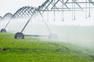 Com a análise de João Eustáquio De Almeida Junior, entenda como o manejo correto da irrigação garante eficiência hídrica em diferentes sistemas produtivos.