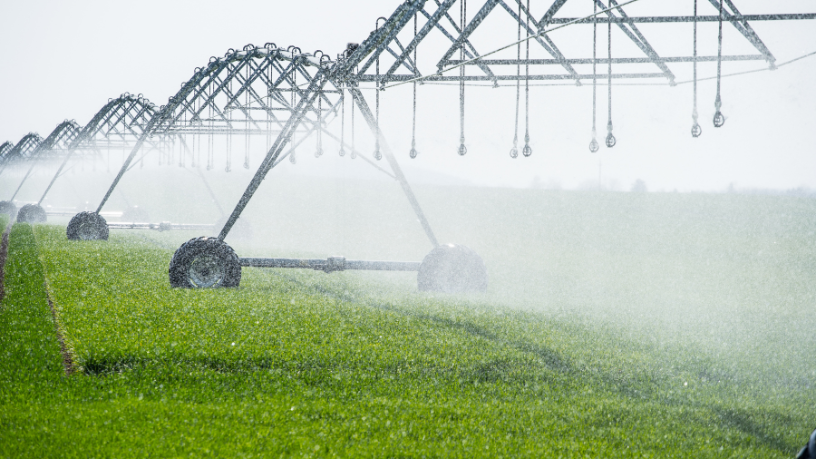 Com a análise de João Eustáquio De Almeida Junior, entenda como o manejo correto da irrigação garante eficiência hídrica em diferentes sistemas produtivos.